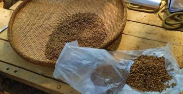 4ª Mostra de Qualidade de Café de Alegre