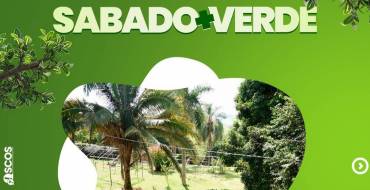 Sábado+Verde