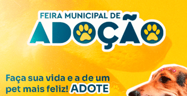 Prefeitura de Alegre promove Feira de Adoção e reforça a importância do Cadastro Animal
