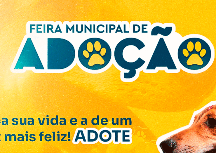 Prefeitura de Alegre promove Feira de Adoção e reforça a importância do Cadastro Animal