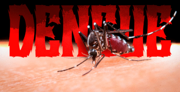 Dengue segue entre os maiores desafios da saúde pública em Alegre: aumento dos casos reforça necessidade de prevenção contínua