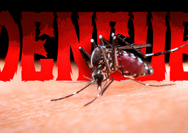 Dengue segue entre os maiores desafios da saúde pública em Alegre: aumento dos casos reforça necessidade de prevenção contínua