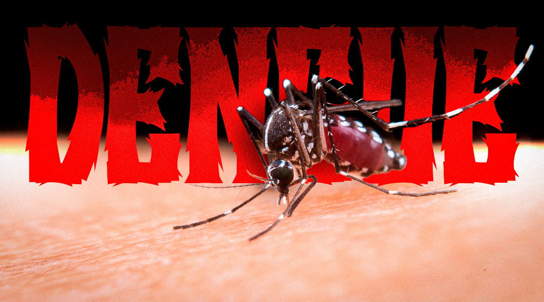 Dengue segue entre os maiores desafios da saúde pública em Alegre: aumento dos casos reforça necessidade de prevenção contínua