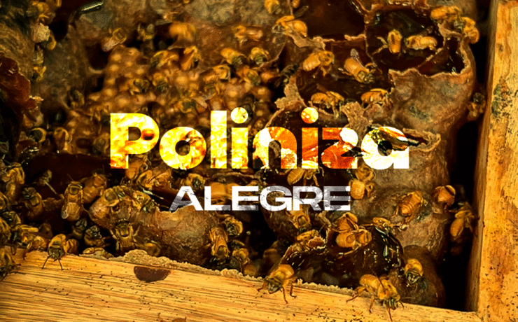 Prefeitura de Alegre fortalece sustentabilidade e agricultura com o projeto “Poliniza Alegre” – Natureza que alimenta