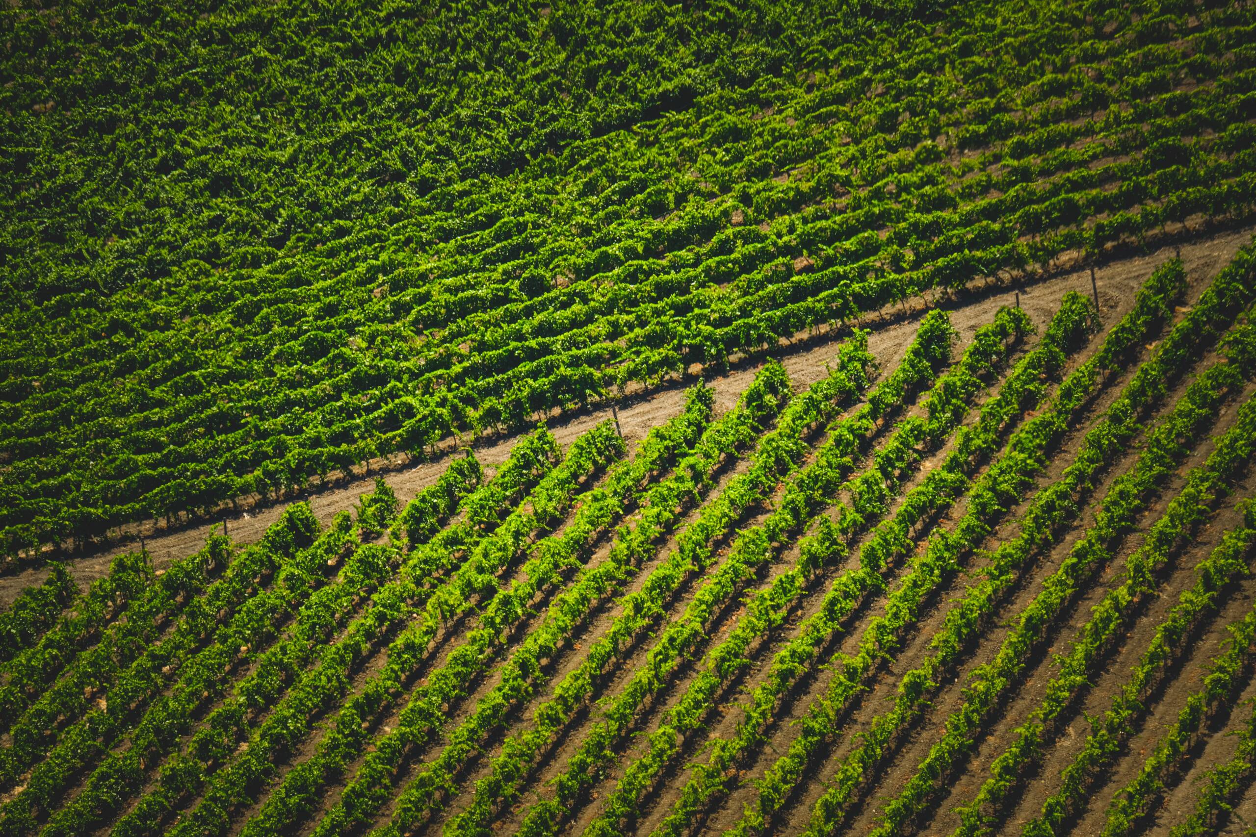 Produtiva